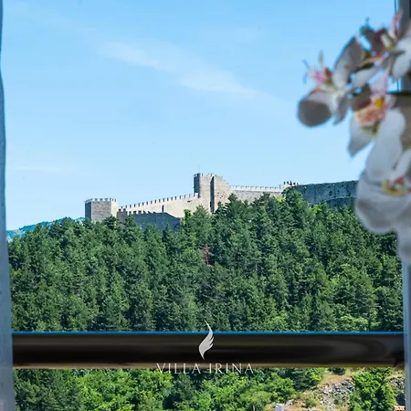 Πανσιόν Irina 2*